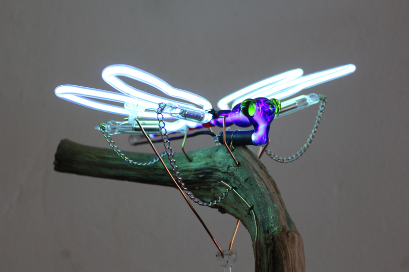Dragonfly - Jeroen Gordijn